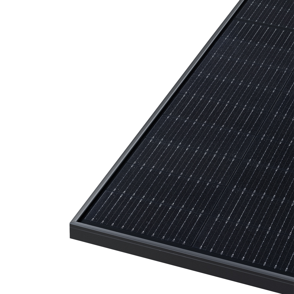 Jolywood Bifaziales Solarmodul 450Wp Glas-Glas TRANSPARENT BLACK Photovoltaik Modul - 0% MwSt.